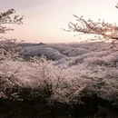安顺旅游 缩略图 7