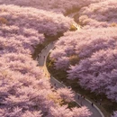 安顺旅游 缩略图 9