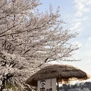 安顺旅游 缩略图 13