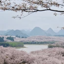 安顺旅游 缩略图 15