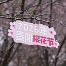 安顺旅游 缩略图 5