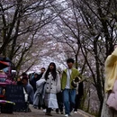 安顺旅游 缩略图 3