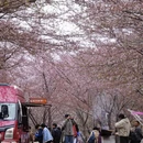 安顺旅游 缩略图 9