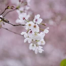安顺旅游 缩略图 6