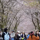 安顺旅游 缩略图 2