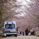 安顺旅游 缩略图 8