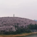 贵阳旅游 缩略图 6