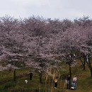 贵阳旅游 缩略图 8