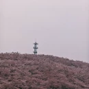 贵阳旅游 缩略图 5