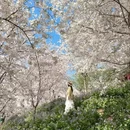 贵阳旅游 缩略图 8