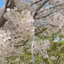 贵阳旅游 缩略图 7