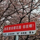 安顺旅游 缩略图 3