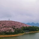 安顺旅游 缩略图 4