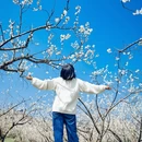 安顺旅游 缩略图 3