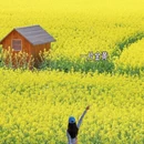 贵阳旅游 缩略图 10