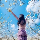安顺旅游 缩略图 4