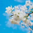 安顺旅游 缩略图 8