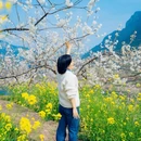 安顺旅游 缩略图 5