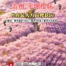 贵阳旅游 缩略图 1