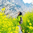 安顺旅游 缩略图 11