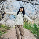 安顺旅游 缩略图 10
