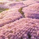 贵阳旅游 缩略图 4