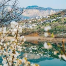 安顺旅游 缩略图 7