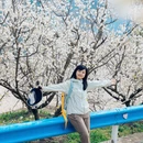 安顺旅游 缩略图 6