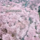 贵阳旅游 缩略图 6