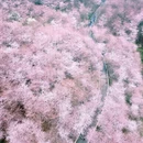 贵阳旅游 缩略图 4