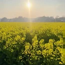 贵阳旅游 缩略图 11