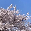 贵阳旅游 缩略图 8