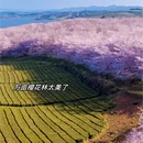贵阳旅游 缩略图 2