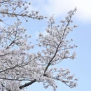安顺旅游 缩略图 1