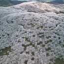 安顺旅游 缩略图 2