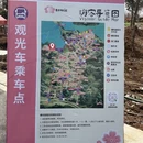 安顺旅游 缩略图 2