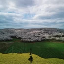 安顺旅游 缩略图 4