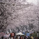 安顺旅游 缩略图 4