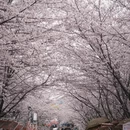 安顺旅游 缩略图 5