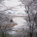 安顺旅游 缩略图 7