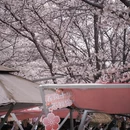 安顺旅游 缩略图 3