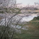 安顺旅游 缩略图 8