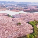 贵阳旅游 缩略图 4