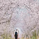 贵阳旅游 缩略图 6