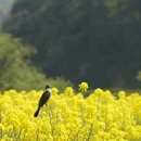 贵阳旅游 缩略图 13