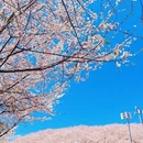 贵阳旅游 缩略图 8