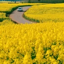 贵阳旅游 缩略图 11