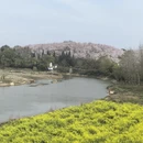 安顺旅游 缩略图 1