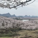 安顺旅游 缩略图 5