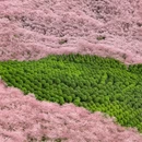 安顺旅游 缩略图 2